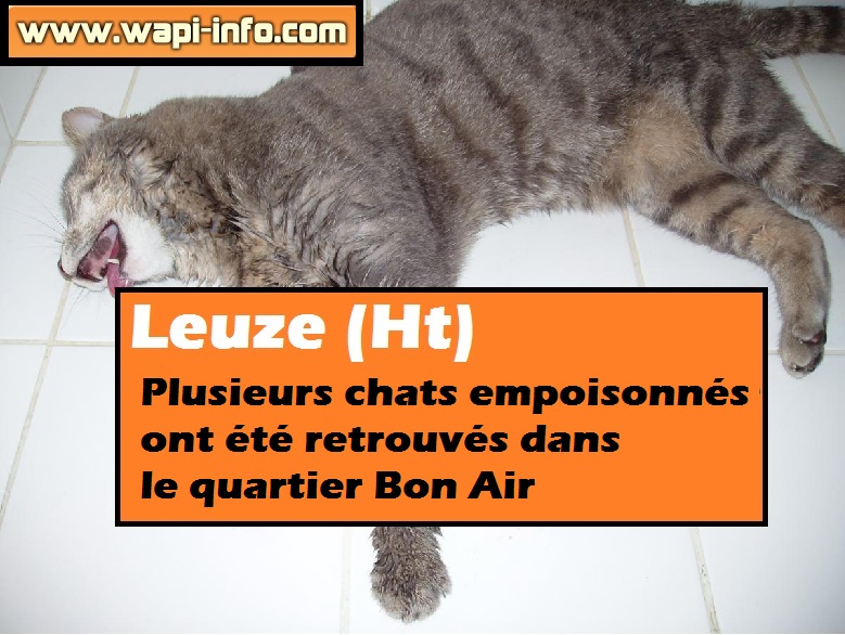 leuze chats empoisonne 01