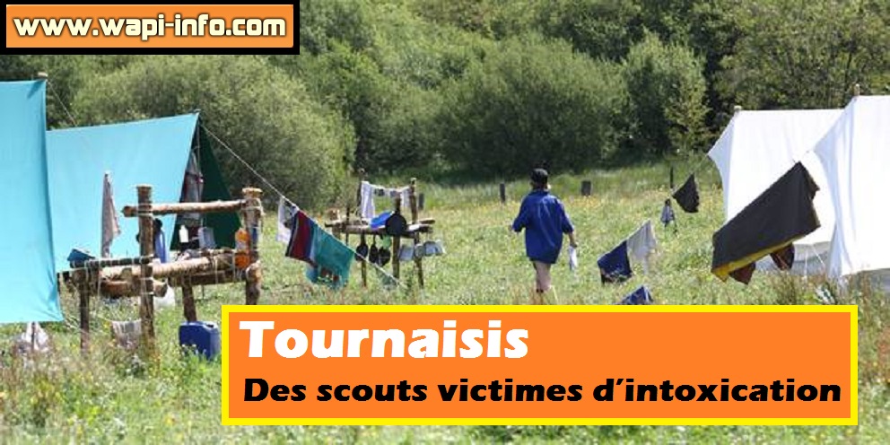 scouts