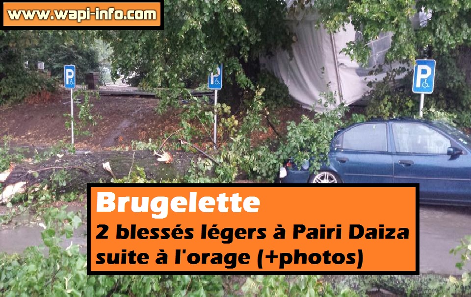 Brugelette 2 blessés pairi daiza