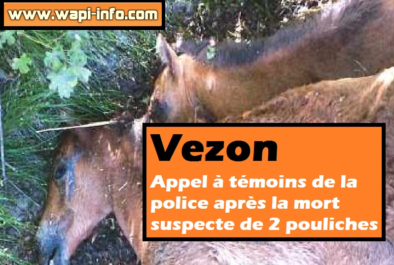 vezon cheval mort suspect