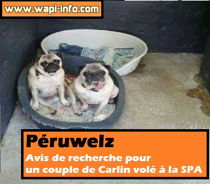 vols couple carlin SPA PERUWELZ
