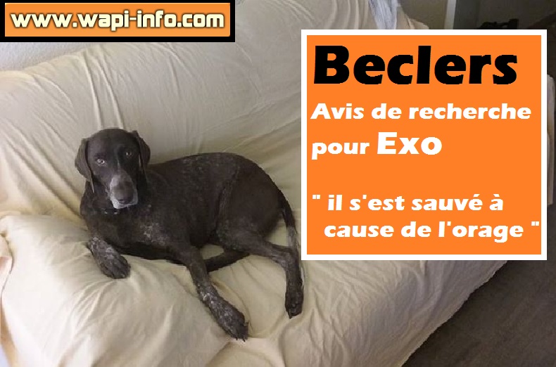 Beclers avis recherche exo