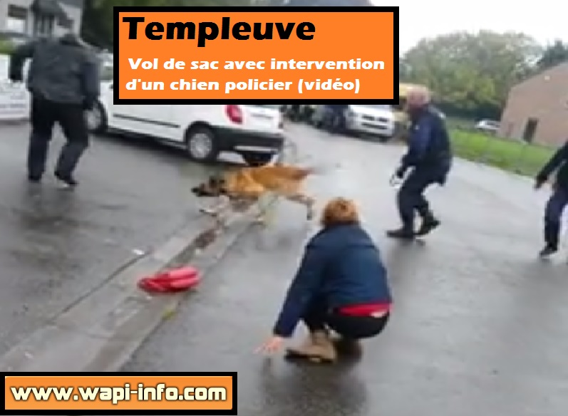 Templeuve vol sac chien policier