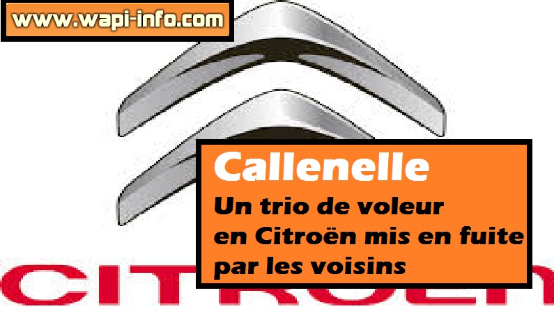 citroen trio voleur