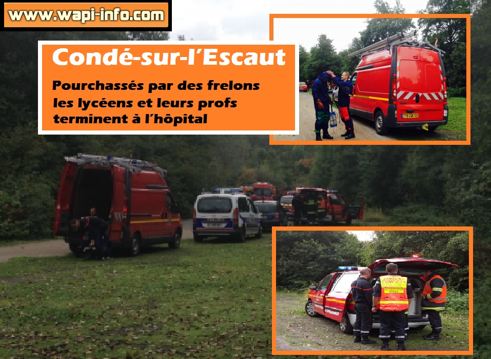 conde sur escaut frelons etudiants