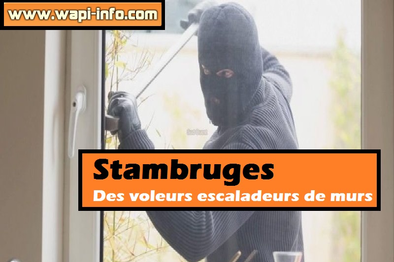 stambruges voleurs escaladeurs