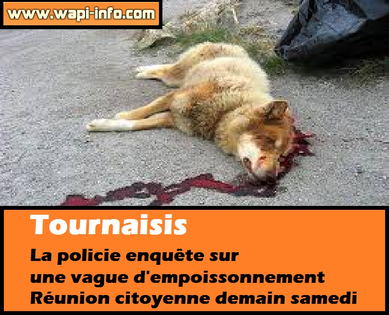 tournai empoissement chien