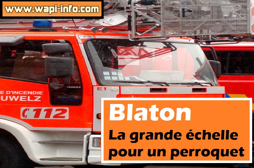 Blaton grande echelle