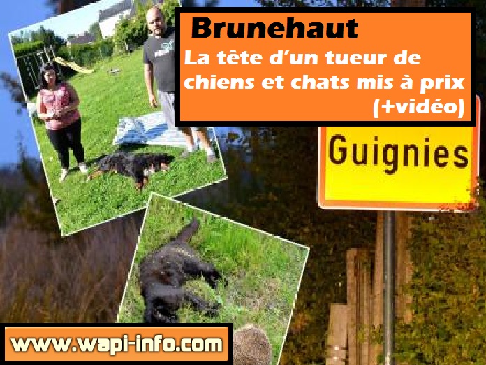 brunehaut tete tueur chiens chats
