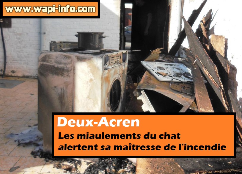 incendie deux acren chat
