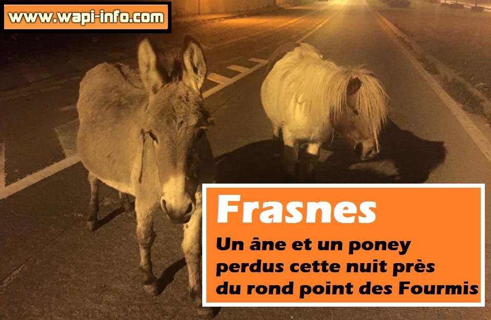 Ane et Poney Frasnes