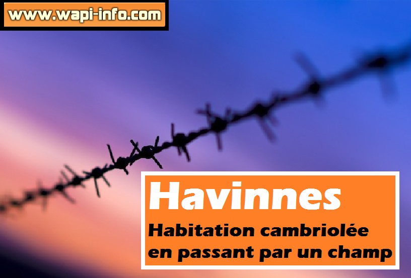 Havinnes vol par un champ