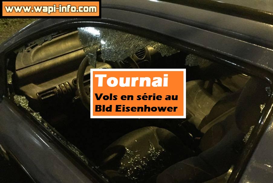 Tournai bld eisenhover vols series