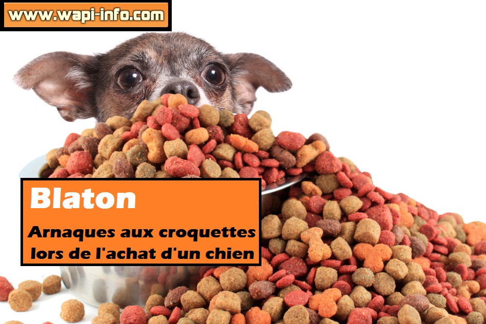 Arnaque croquette chien achat blaton