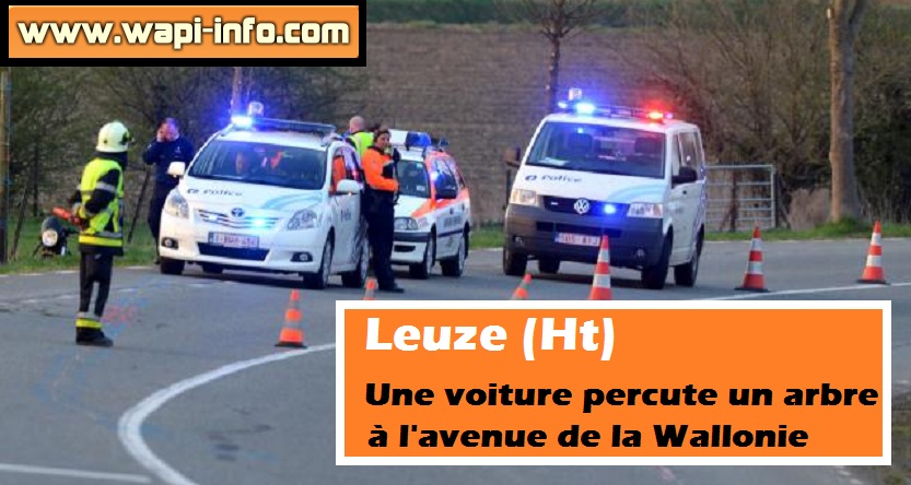 Leuze voiture percute arbre