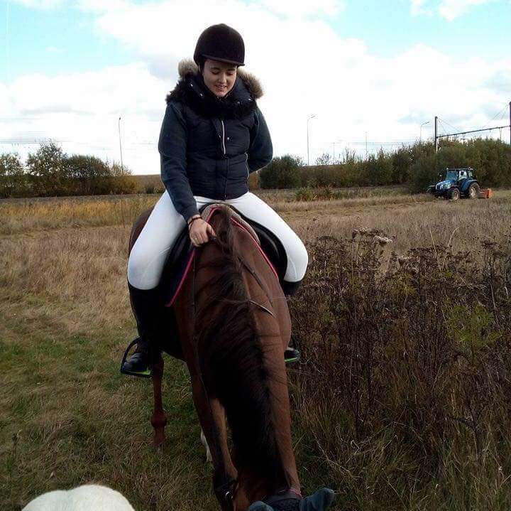 accident cheval Harchies