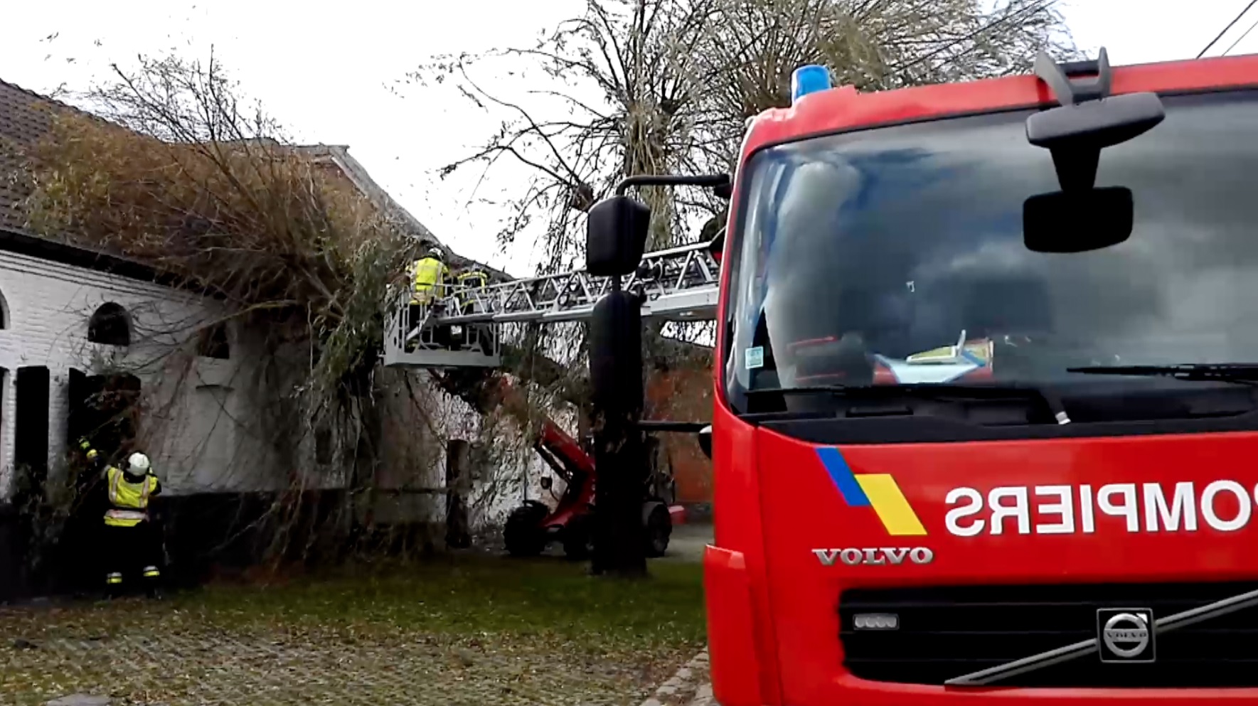 aubechies-arbre-maison