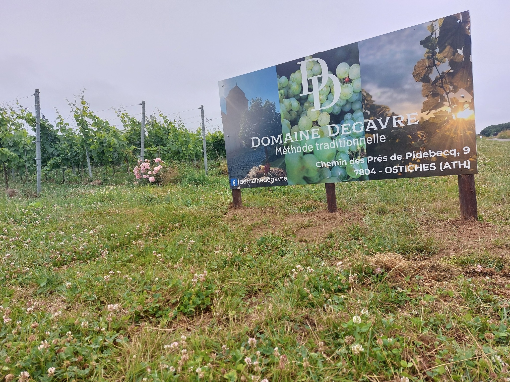 Dégustation festive au Domaine Degavre : le Crémant belge à l’honneur ce 15 août 2025 à Ostiches