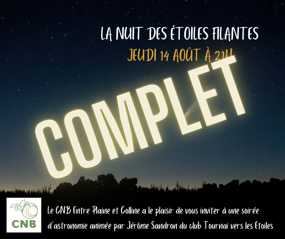 Observation astronomique à Anseroeul : la Nuit des Étoiles Filantes affiche complet