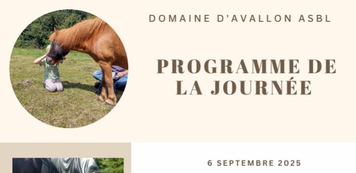 Domaine d’Avallon en fête à Grandglise : une après-midi familiale au cœur de la nature